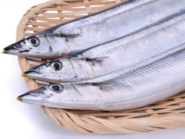 芜湖优质食堂承包电话