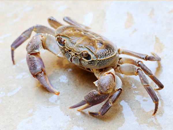 宿州优质工地食堂承包电话