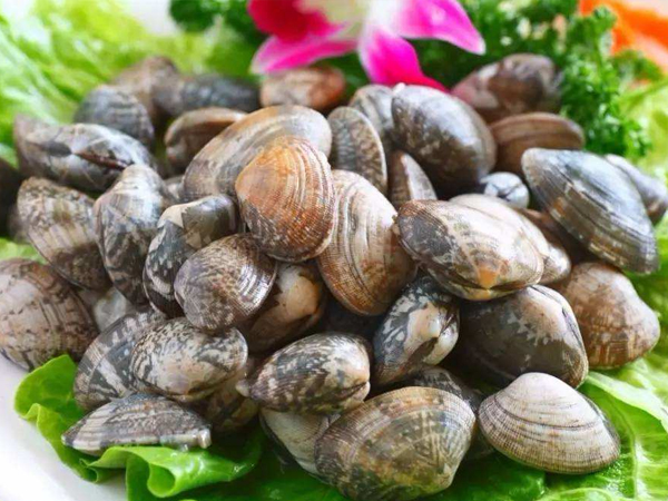 六安优质中央厨房托管价格