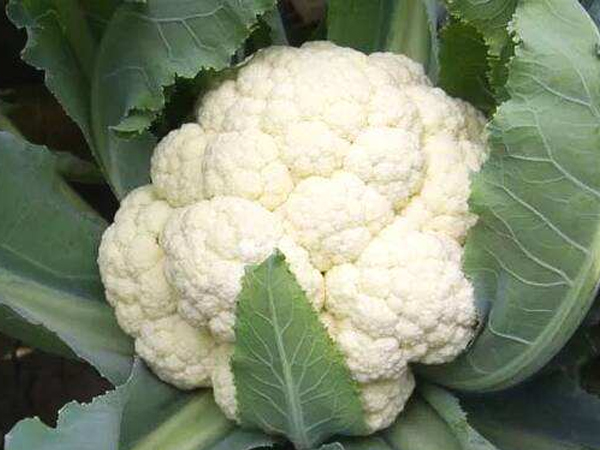 芜湖优质食堂承包电话