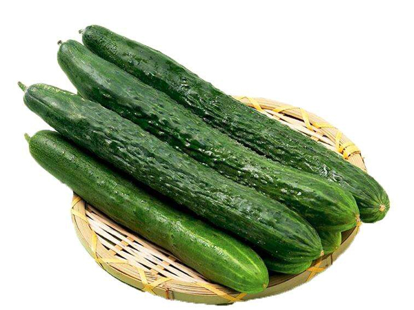 青岛提供工厂食堂电话