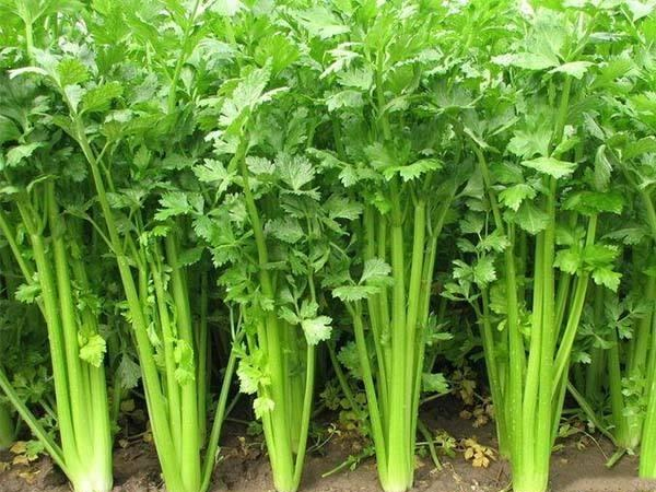 山西专业团餐配送价格