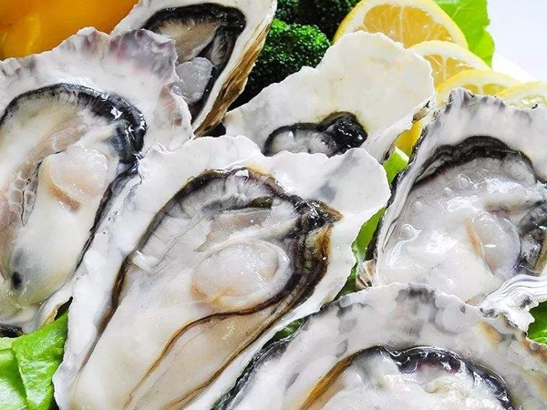 生蚝